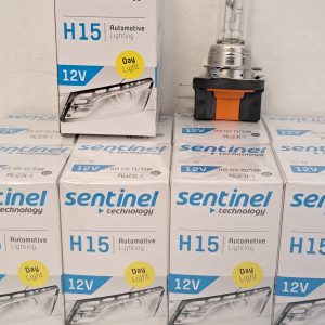 H15 SENTINEL