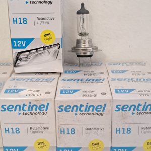 H18 SENTINEL