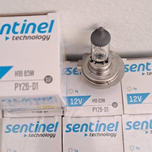 H18 SENTINEL