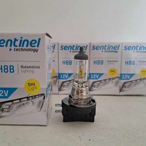 H8B SENTINEL