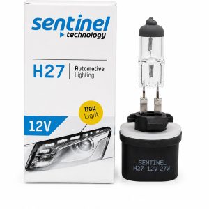 H27 W1 SENTINEL
